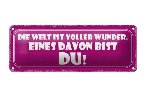 Blechschild Spruch 27x10cm Welt voller Wunder eines bist DU Dekoration