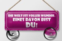 Blechschild Spruch 27x10cm Welt voller Wunder eines bist DU Dekoration