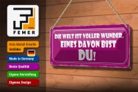 Blechschild Spruch 27x10cm Welt voller Wunder eines bist DU Dekoration