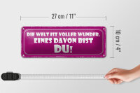 Blechschild Spruch 27x10cm Welt voller Wunder eines bist DU Dekoration