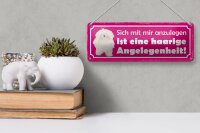 Blechschild Spruch 27x10cm Hund eine haarige Angelegenheit Dekoration