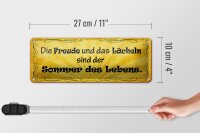 Blechschild Spruch 27x10cm Freude Lächeln Sommer des Lebens Dekoration