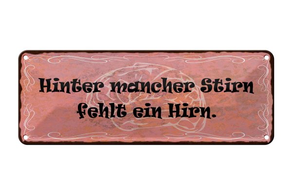 Blechschild Spruch 27x10cm hinter mancher Stirn fehlt Hirn Dekoration