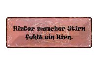 Blechschild Spruch 27x10cm hinter mancher Stirn fehlt Hirn Dekoration