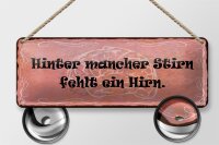 Blechschild Spruch 27x10cm hinter mancher Stirn fehlt Hirn Dekoration