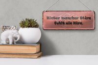 Blechschild Spruch 27x10cm hinter mancher Stirn fehlt Hirn Dekoration