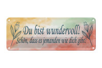 Blechschild Spruch 27x10cm du bist wundervoll schön das es Dekoration