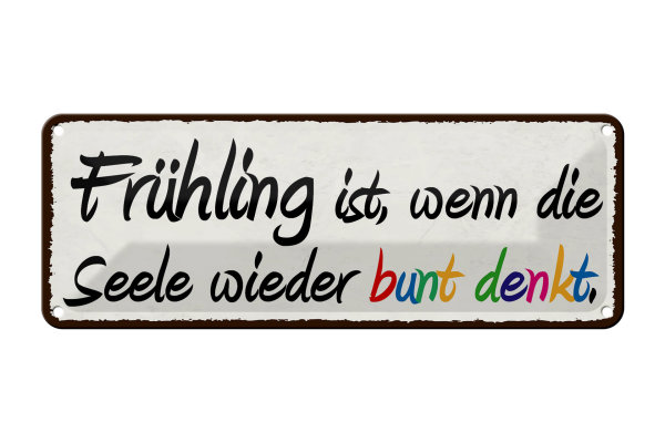 Blechschild Spruch 27x10cm Frühling wenn Seele bunt denkt Dekoration