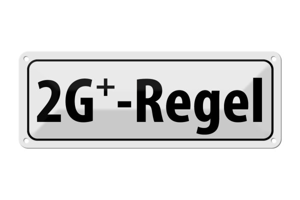 Blechschild Hinweis 27x10cm 2G+ Regel Dekoration