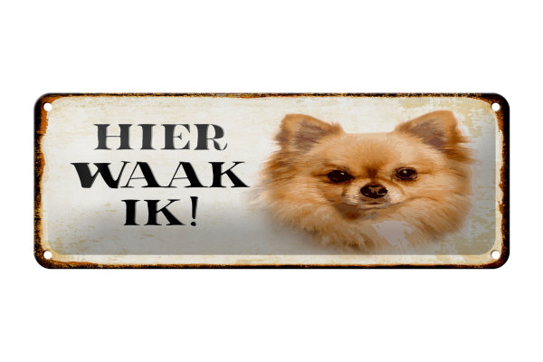 Blechschild Spruch 27x10 cm holländisch Hier Waak ik Chihuahua Dekoration