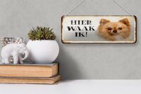 Blechschild Spruch 27x10 cm holländisch Hier Waak ik Chihuahua Dekoration