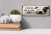 Blechschild Spruch 27x10 cm holländisch Hier Waak ik American Pitbull Terrier