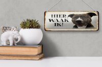 Blechschild Spruch 27x10 cm holländisch Hier Waak ik Pitbull Terrier Dekoration