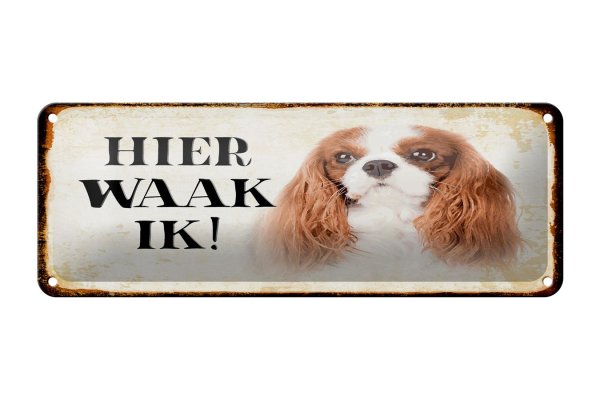 Blechschild Spruch 27x10 cm holländisch Hier Waak ik King Charles Spaniel