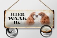 Blechschild Spruch 27x10 cm holländisch Hier Waak ik King Charles Spaniel