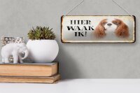 Blechschild Spruch 27x10 cm holländisch Hier Waak ik King Charles Spaniel