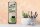 Blechschild Spruch Ohne Katze ist Haus kein Zuhause 10x27cm