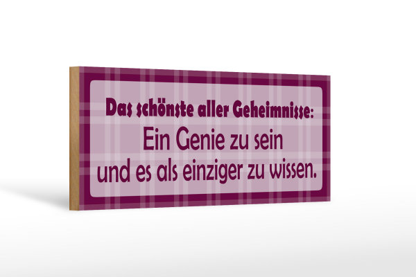 Holzschild Spruch 27x10cm Schönste aller Geheimnisse