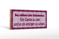Holzschild Spruch 27x10cm Schönste aller Geheimnisse