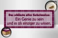 Holzschild Spruch 27x10cm Schönste aller Geheimnisse