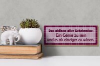 Holzschild Spruch 27x10cm Schönste aller Geheimnisse