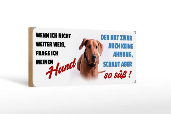 Holzschild Tier Spruch 27x10cm Hund schaut aber so süß