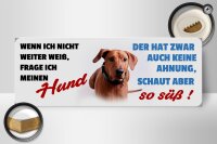 Holzschild Tier Spruch 27x10cm Hund schaut aber so süß