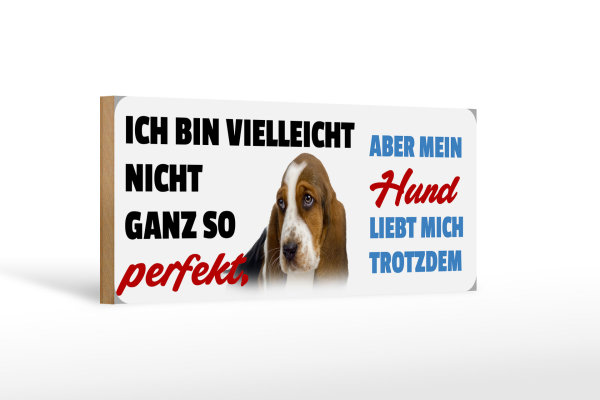 Holzschild Tier Spruch 27x10cm mein Hund liebt mich trotzdem