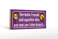 Holzschild Spruch 27x10cm verrückte Freunde sind...