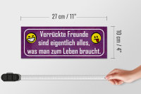Holzschild Spruch 27x10cm verrückte Freunde sind alles was
