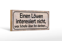 Holzschild Spruch 27x10cm Einen Löwen interessiert...