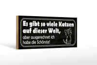Holzschild Spruch 27x10cm es gibt so viele Katzen auf...