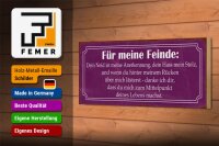 Holzschild Spruch 27x10cm für meine Feinde dein Neid ist