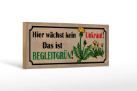 Holzschild Spruch 27x10cm hier wächst kein Unkraut das ist