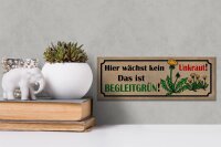 Holzschild Spruch 27x10cm hier wächst kein Unkraut das ist
