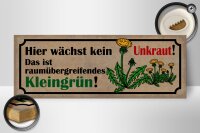 Holzschild Spruch 27x10cm wächst kein Unkraut Das ist Kleingrün