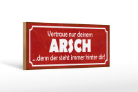Holzschild Spruch 27x10cm vertraue nur deinem Arsch denn er steht hinter dir