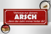 Holzschild Spruch 27x10cm vertraue nur deinem Arsch denn er steht hinter dir