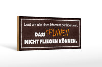 Holzschild Spruch 27x10cm spinnen nicht fliegen können