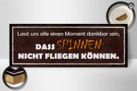 Holzschild Spruch 27x10cm spinnen nicht fliegen können
