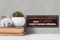Holzschild Spruch 27x10cm spinnen nicht fliegen können