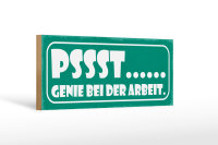 Holzschild Spruch 27x10cm PSSST… Genie bei der Arbeit
