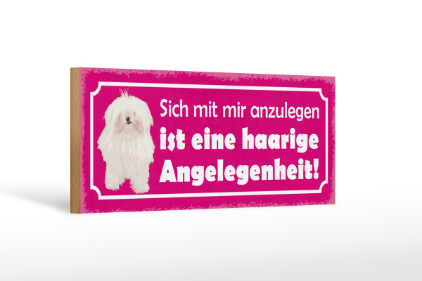 Holzschild Spruch 27x10cm Hund eine haarige Angelegenheit