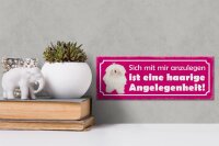 Holzschild Spruch 27x10cm Hund eine haarige Angelegenheit