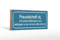Holzschild Spruch 27x10cm Freundschaft noch bekloppter
