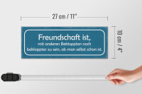 Holzschild Spruch 27x10cm Freundschaft noch bekloppter