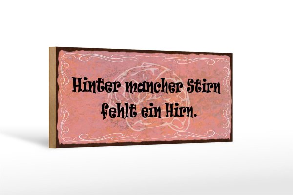Holzschild Spruch 27x10cm hinter mancher Stirn fehlt Hirn