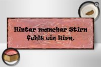 Holzschild Spruch 27x10cm hinter mancher Stirn fehlt Hirn