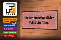 Holzschild Spruch 27x10cm hinter mancher Stirn fehlt Hirn