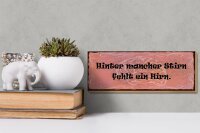 Holzschild Spruch 27x10cm hinter mancher Stirn fehlt Hirn
